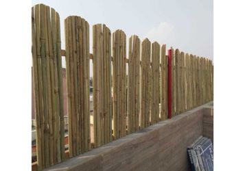 Image Gallery
